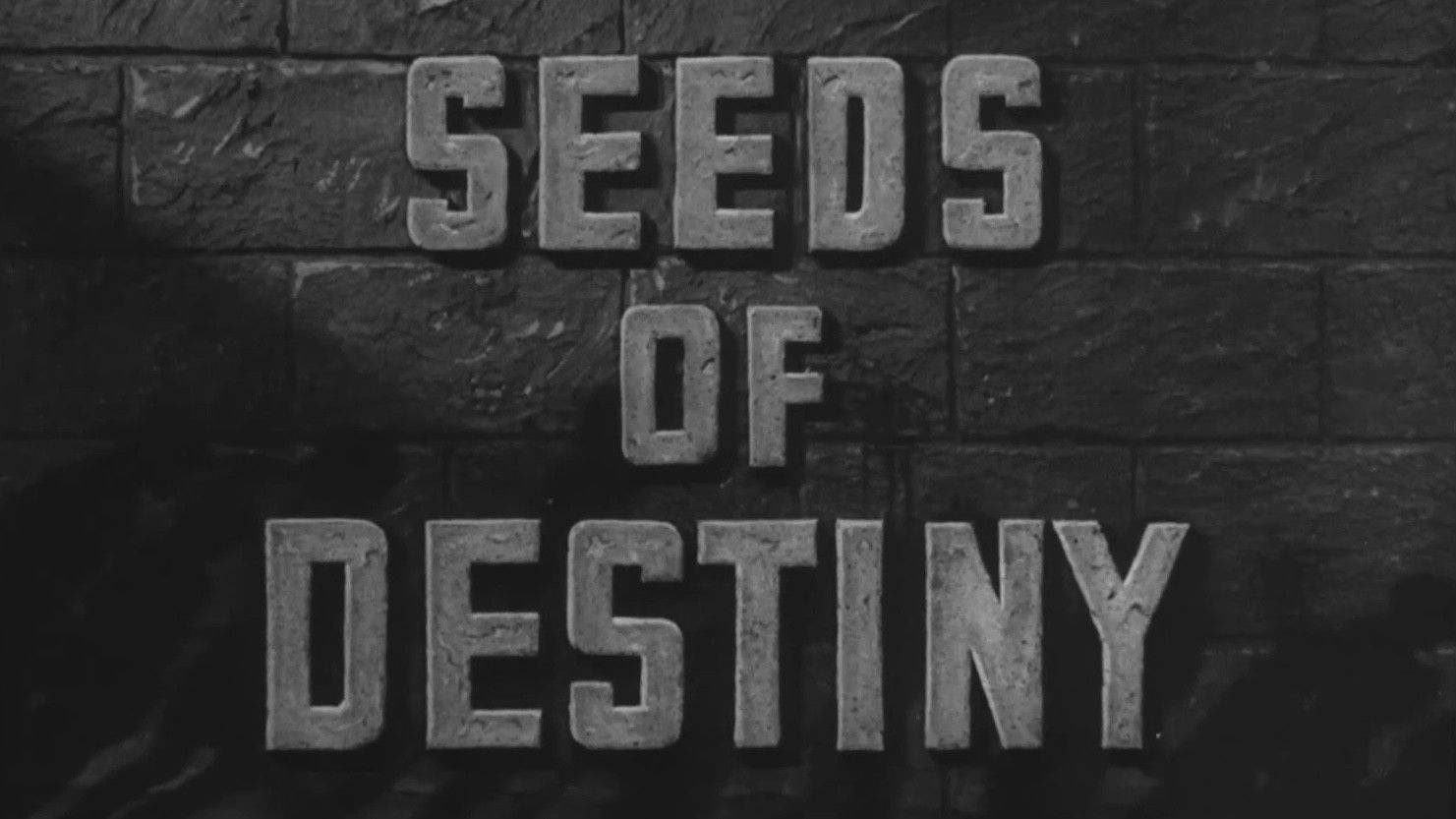 Backdrop for Seeds of Destiny