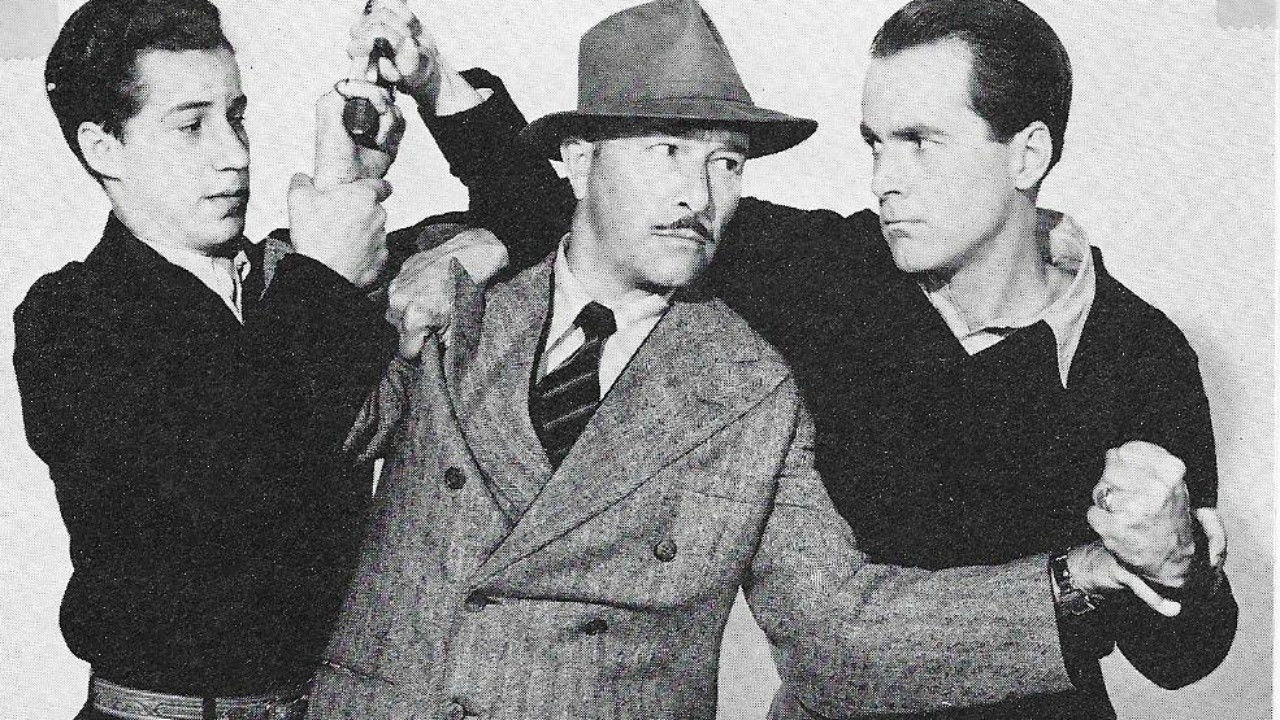 Backdrop for Adventures of the Flying Cadets