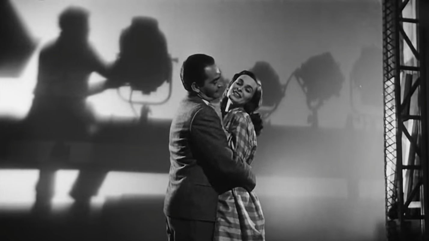 Backdrop for The Lady Without Camelias