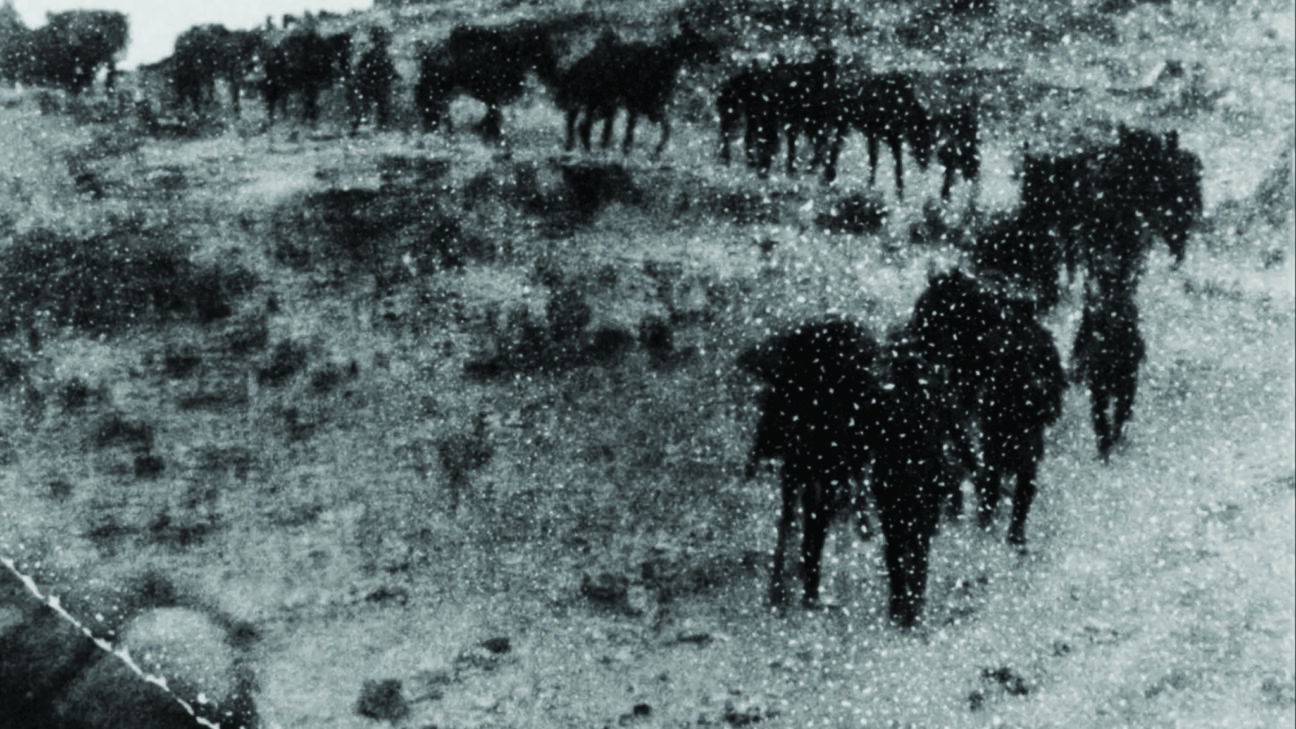 Backdrop for Partition