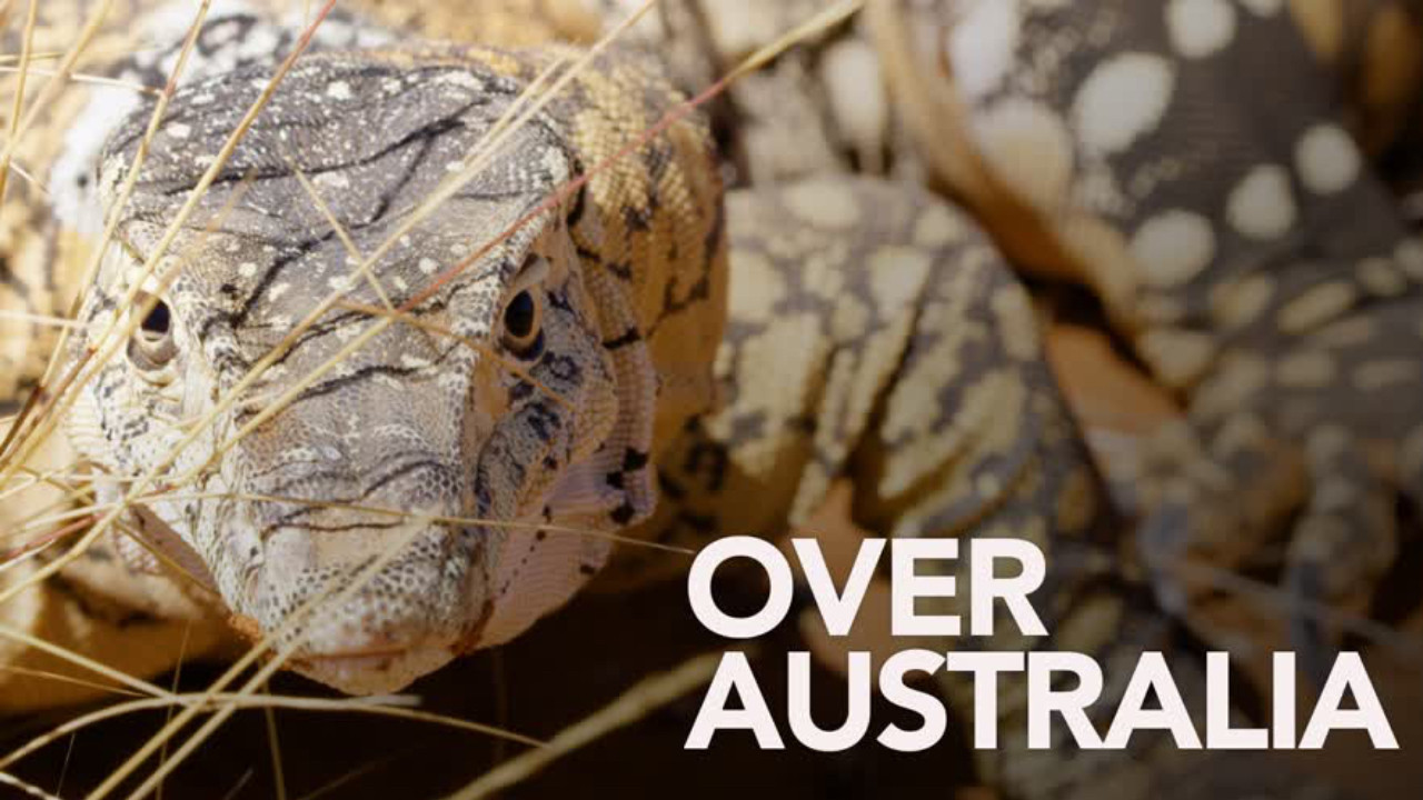 Backdrop for Over Australia