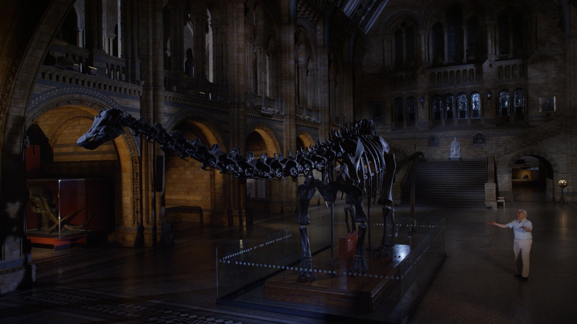 Backdrop for David Attenborough's Natural History Museum Alive
