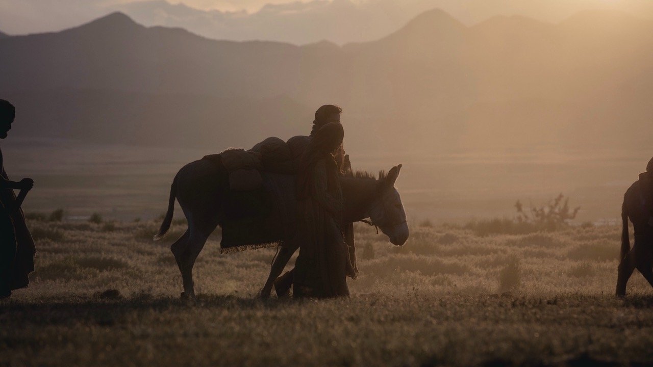 Backdrop for The Christ Child: A Nativity Story