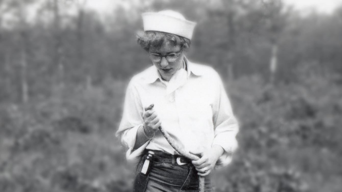 Backdrop for Joanne Martin: A Life in Miniature