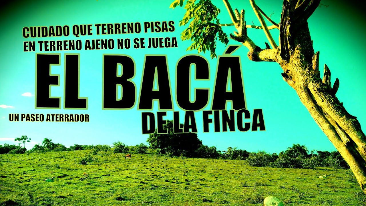 Backdrop for El bacá de la finca