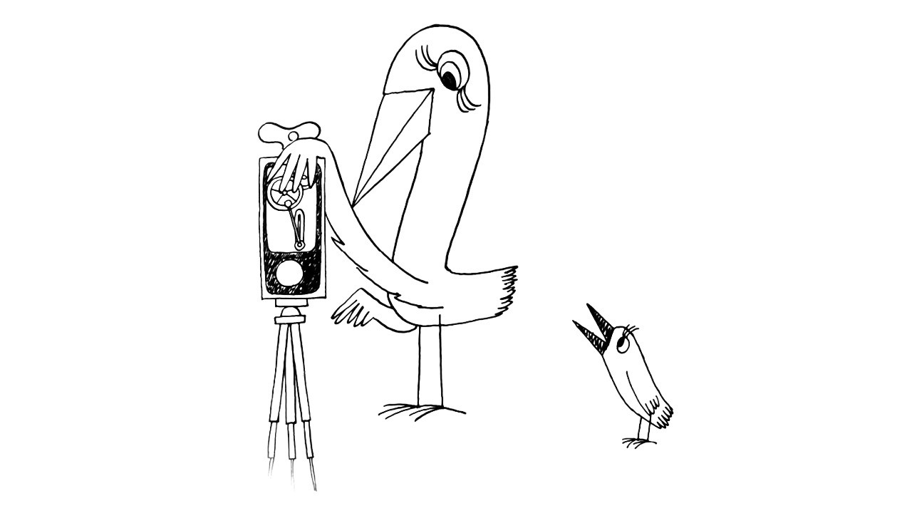 Backdrop for Strange Birds