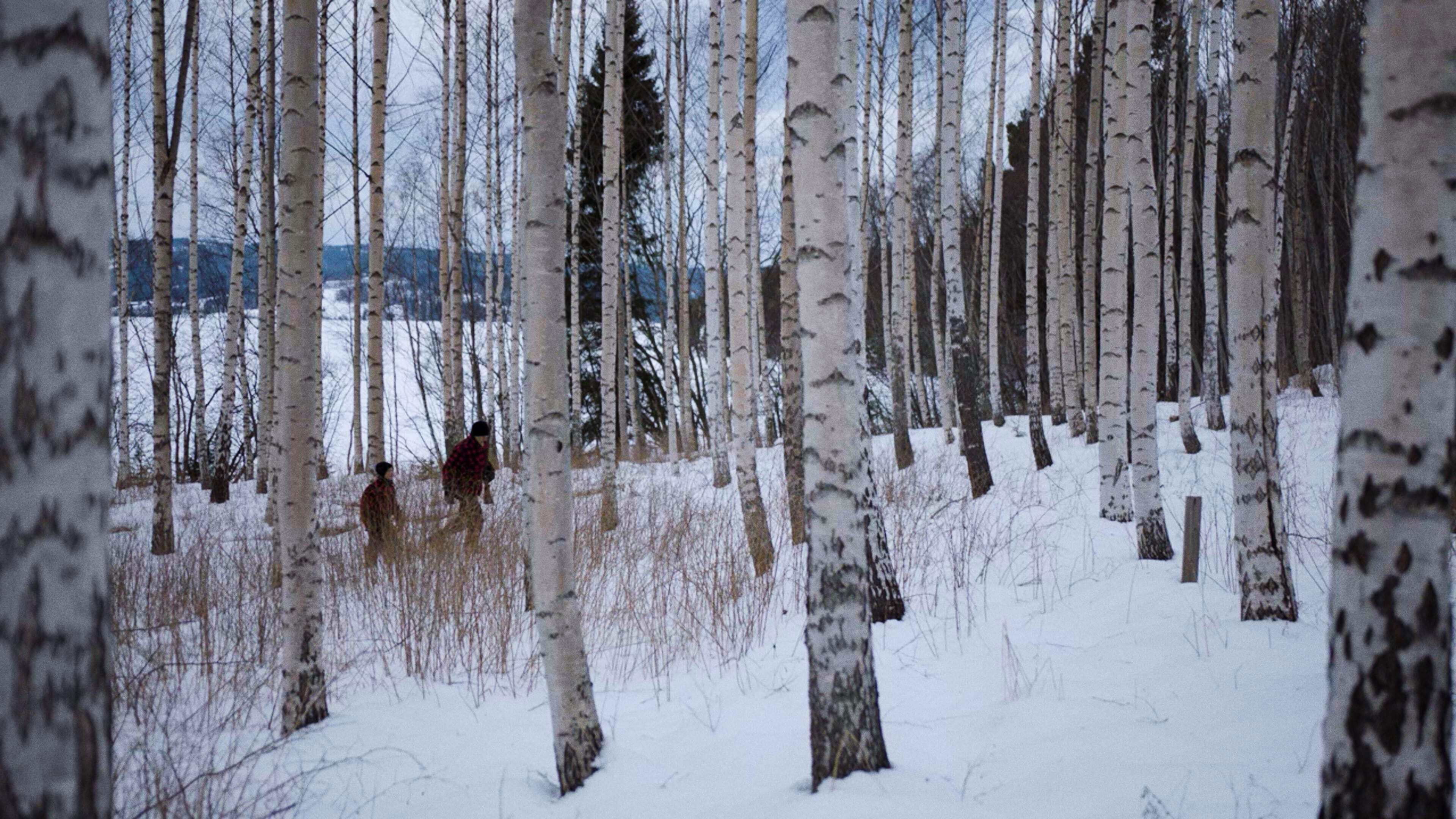 Backdrop for Sons of Lilith