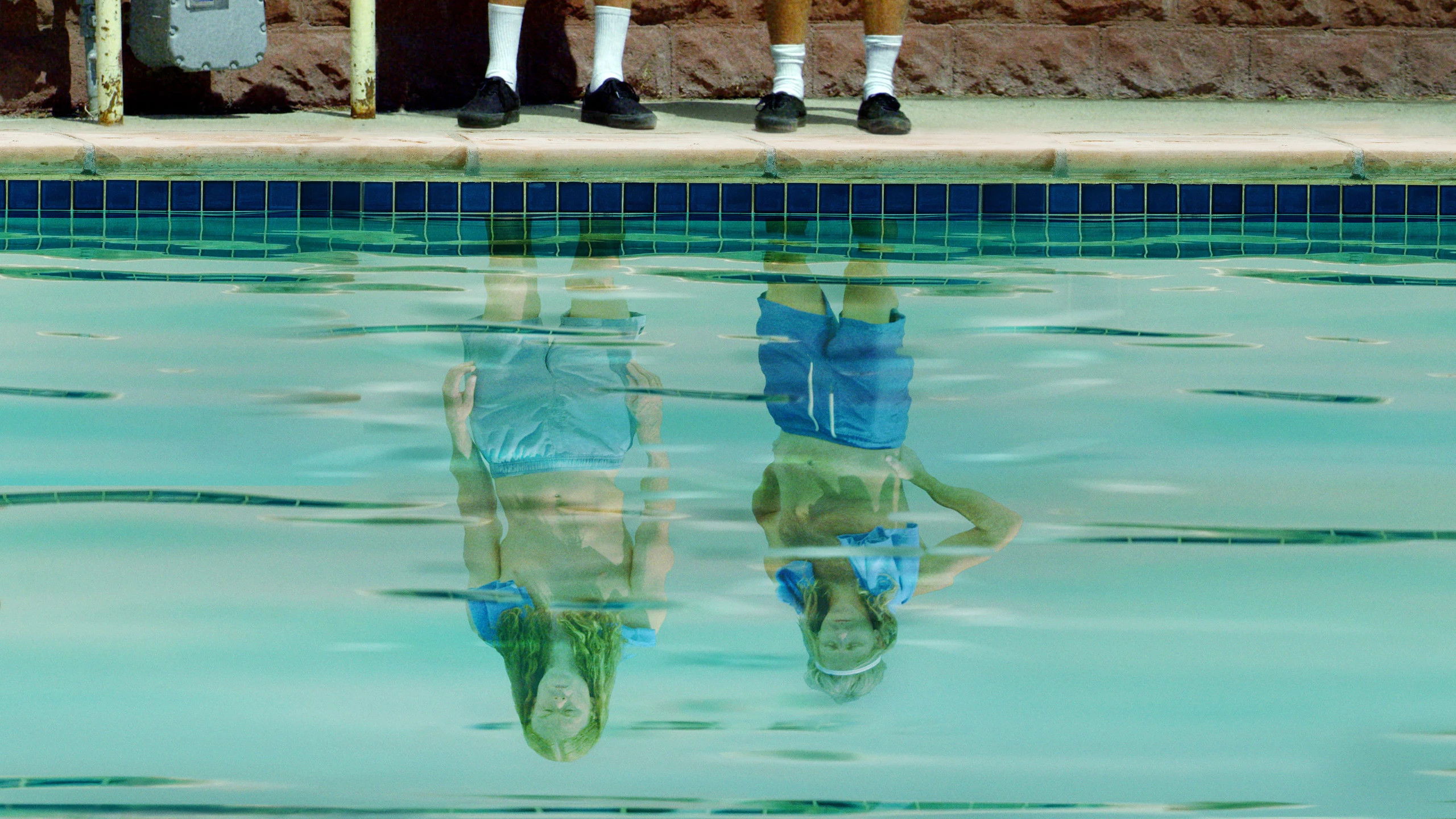 Backdrop for Agua Donkeys