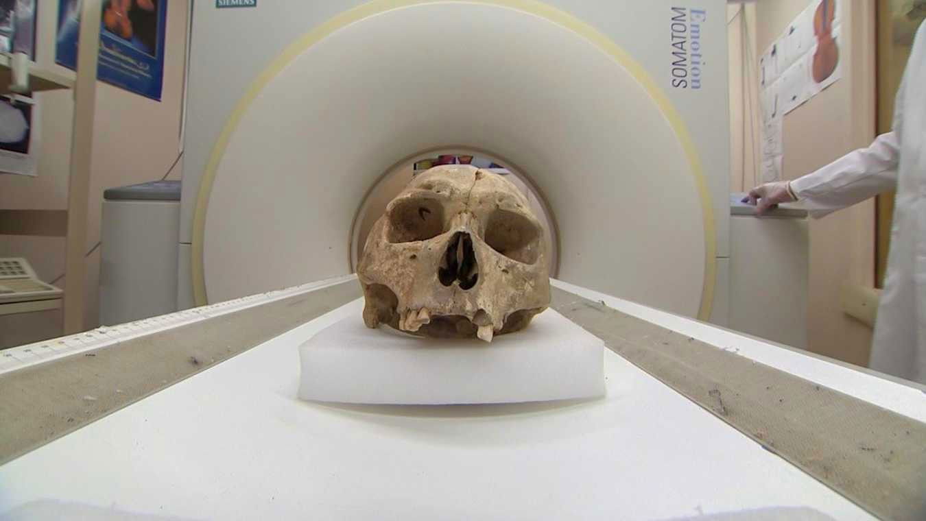 Backdrop for Forensic Firsts