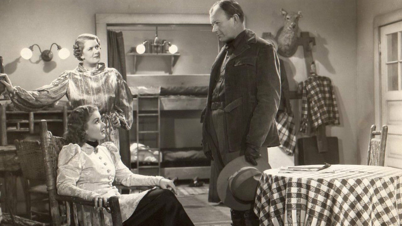 Backdrop for Roaring Timber