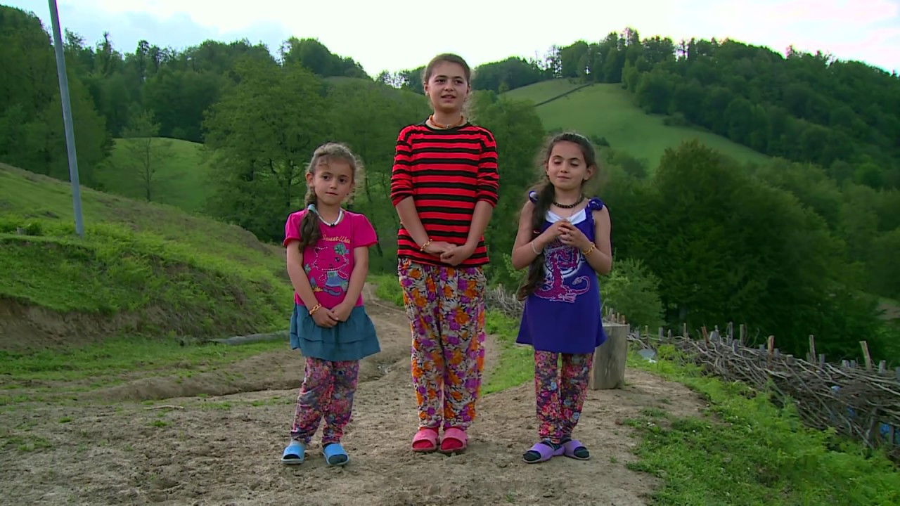 Backdrop for The Fog Will Carry Us