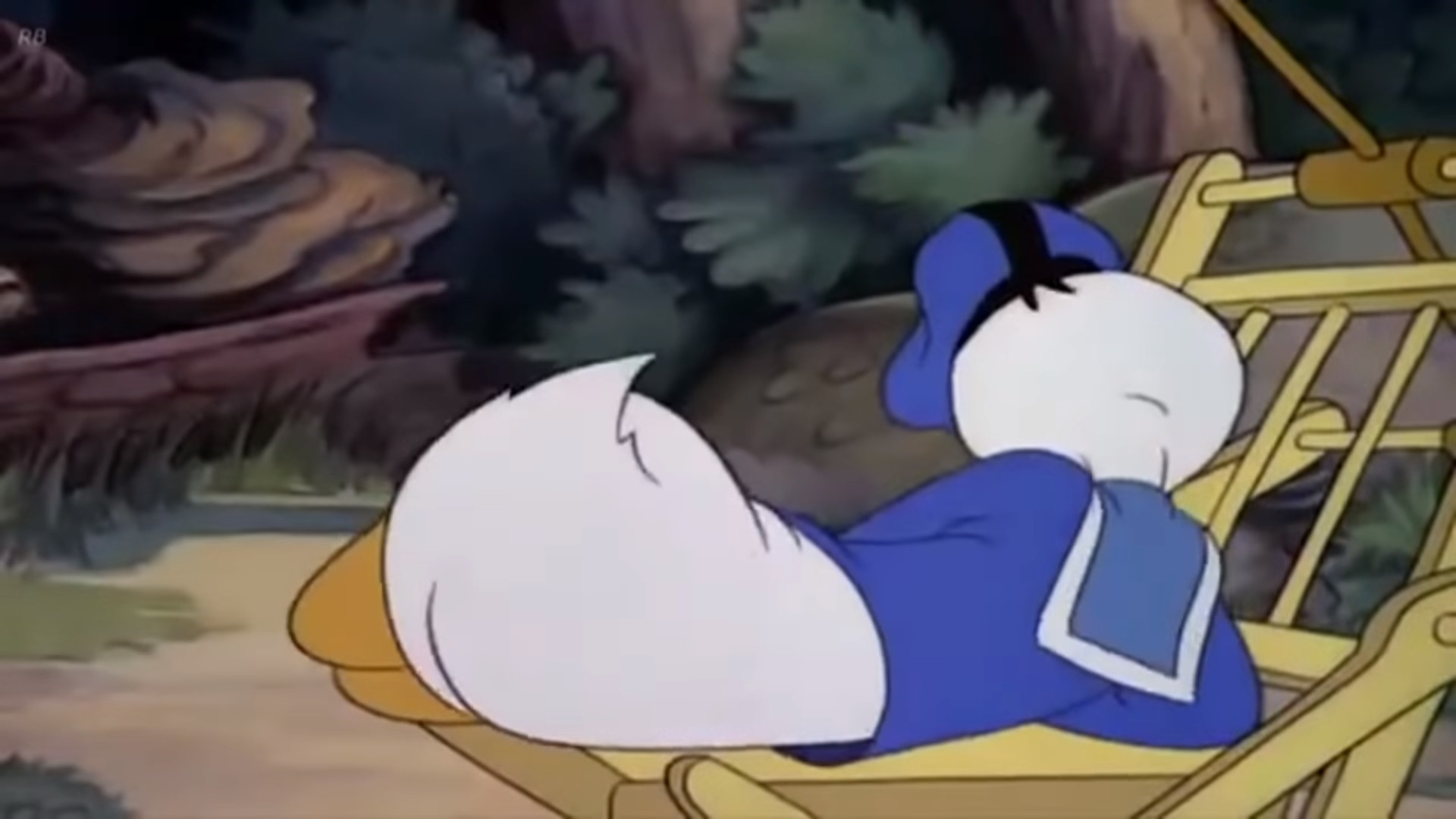 Backdrop for Donald's Vacation