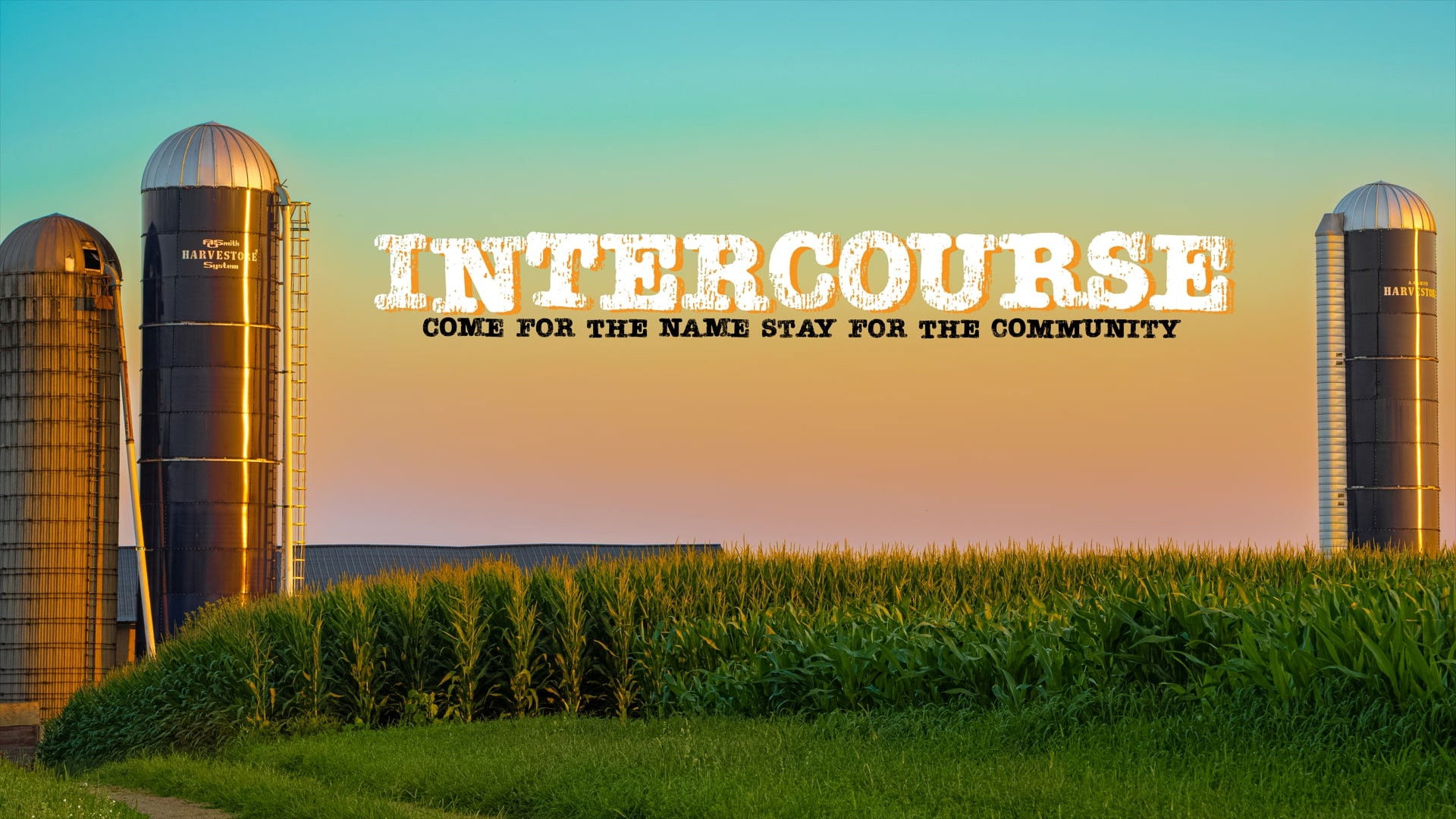 Backdrop for Intercourse