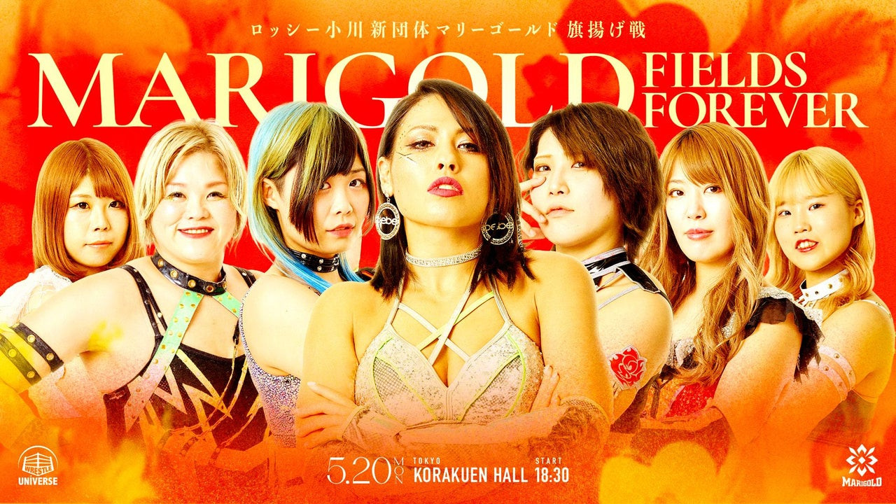 Backdrop for Marigold Fields Forever