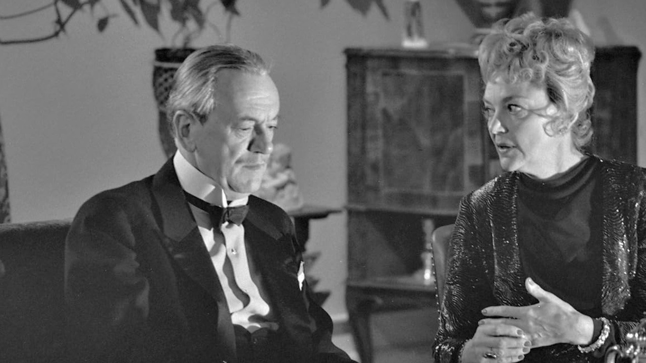 Backdrop for Anne Sophie Hedvig