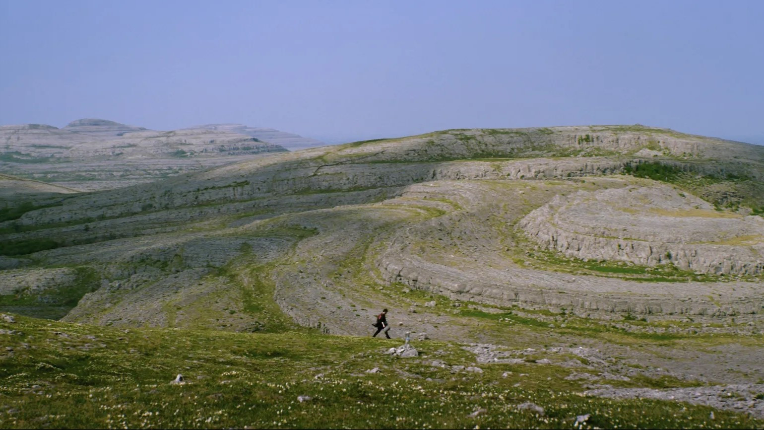 Backdrop for Silence