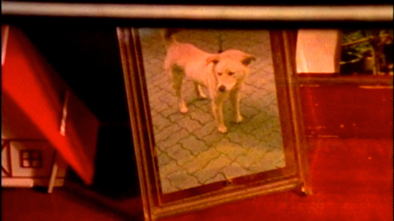 Backdrop for The Memories in My Frame