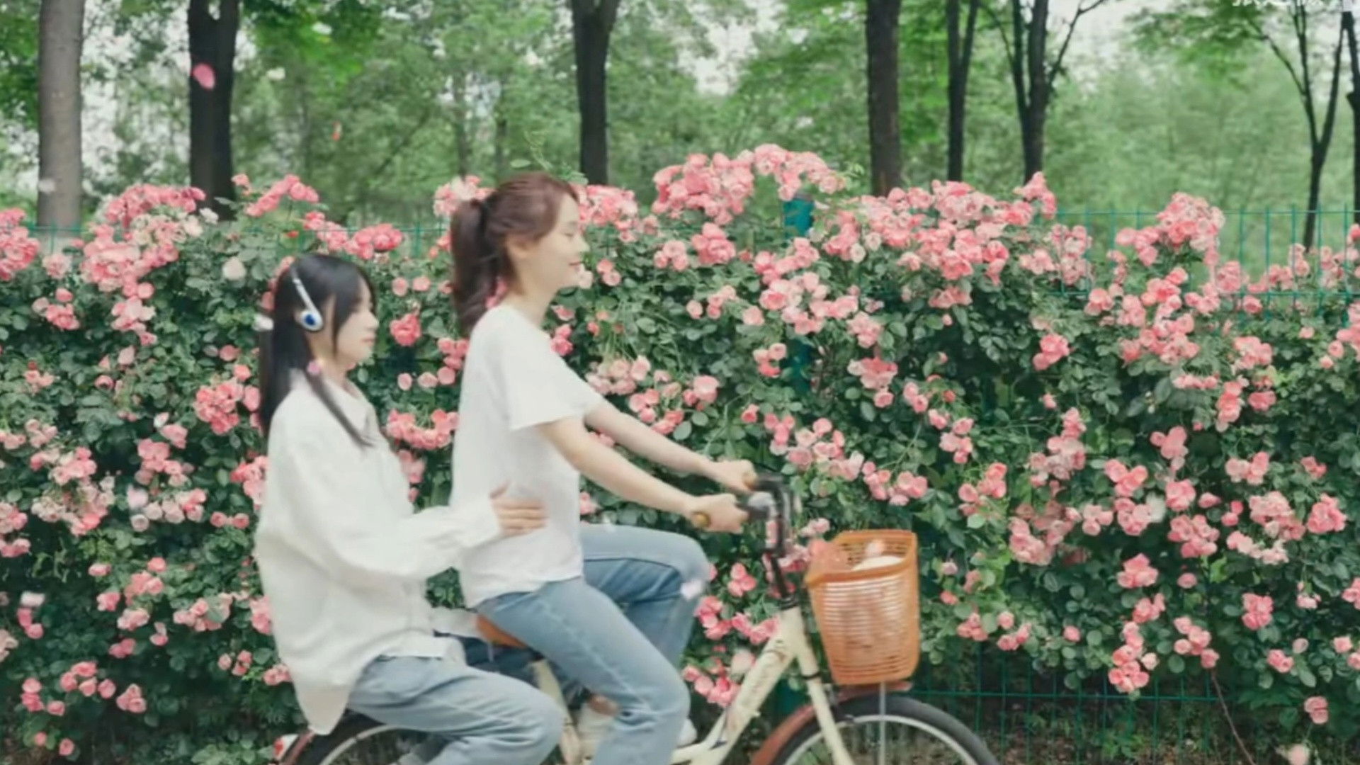 Backdrop for You Who Are Lost With the Wind