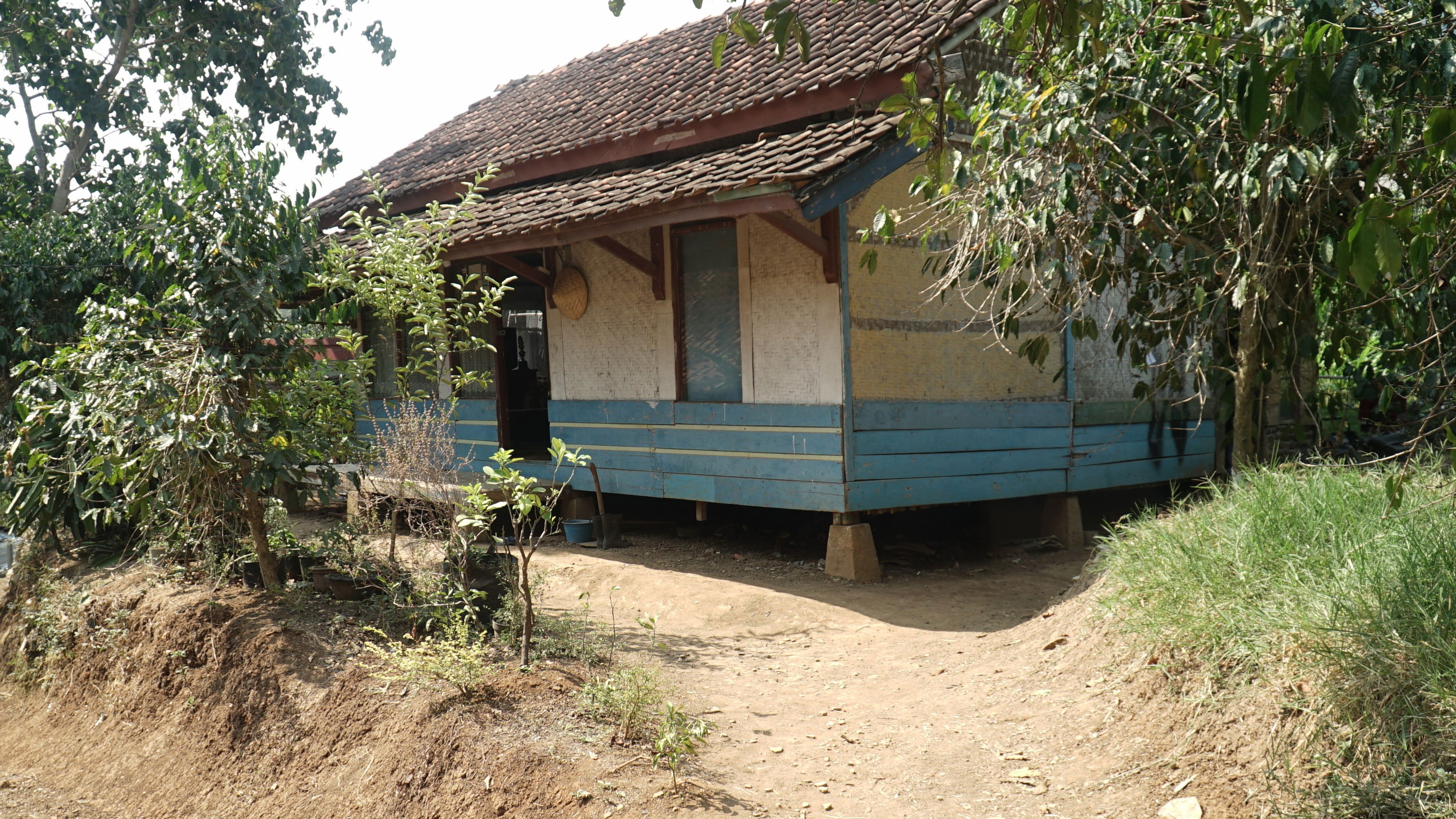 Backdrop for Revealed