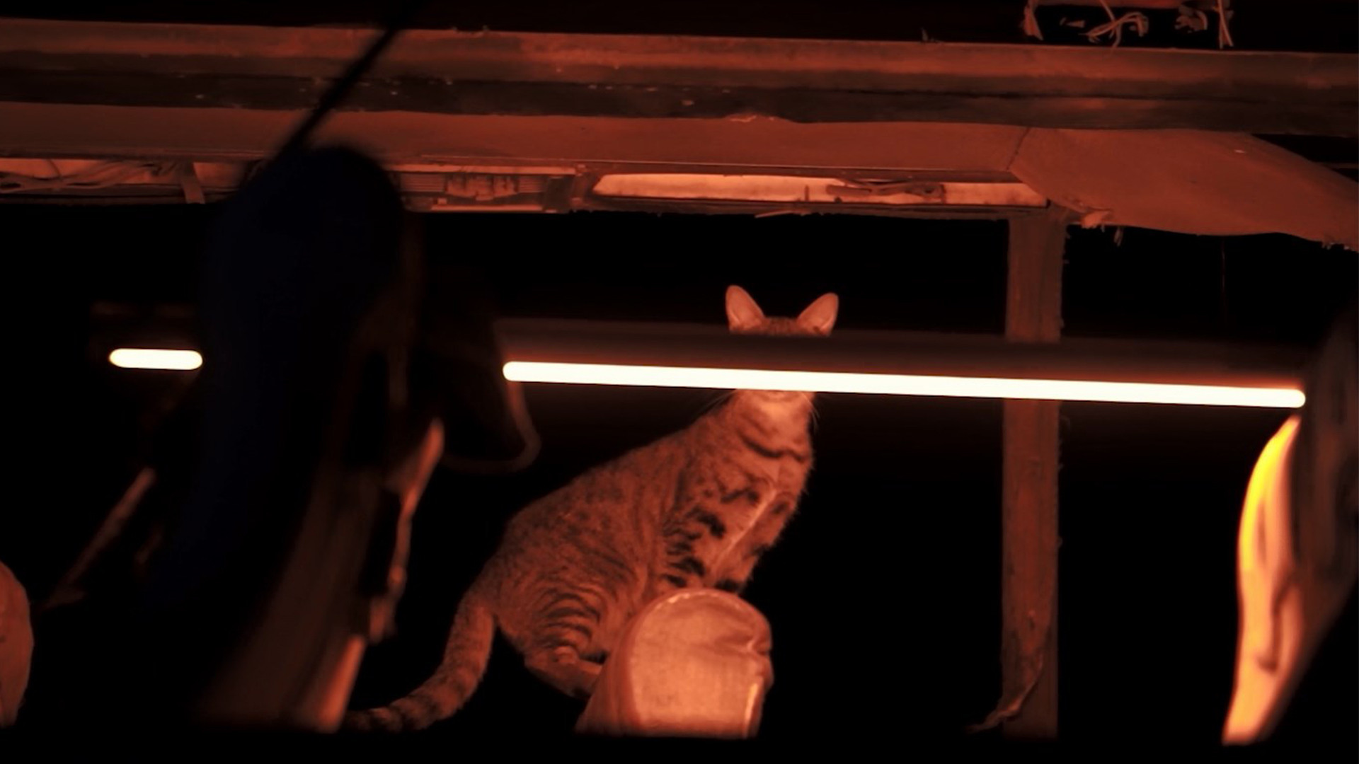 Backdrop for Summer, City and a Camera