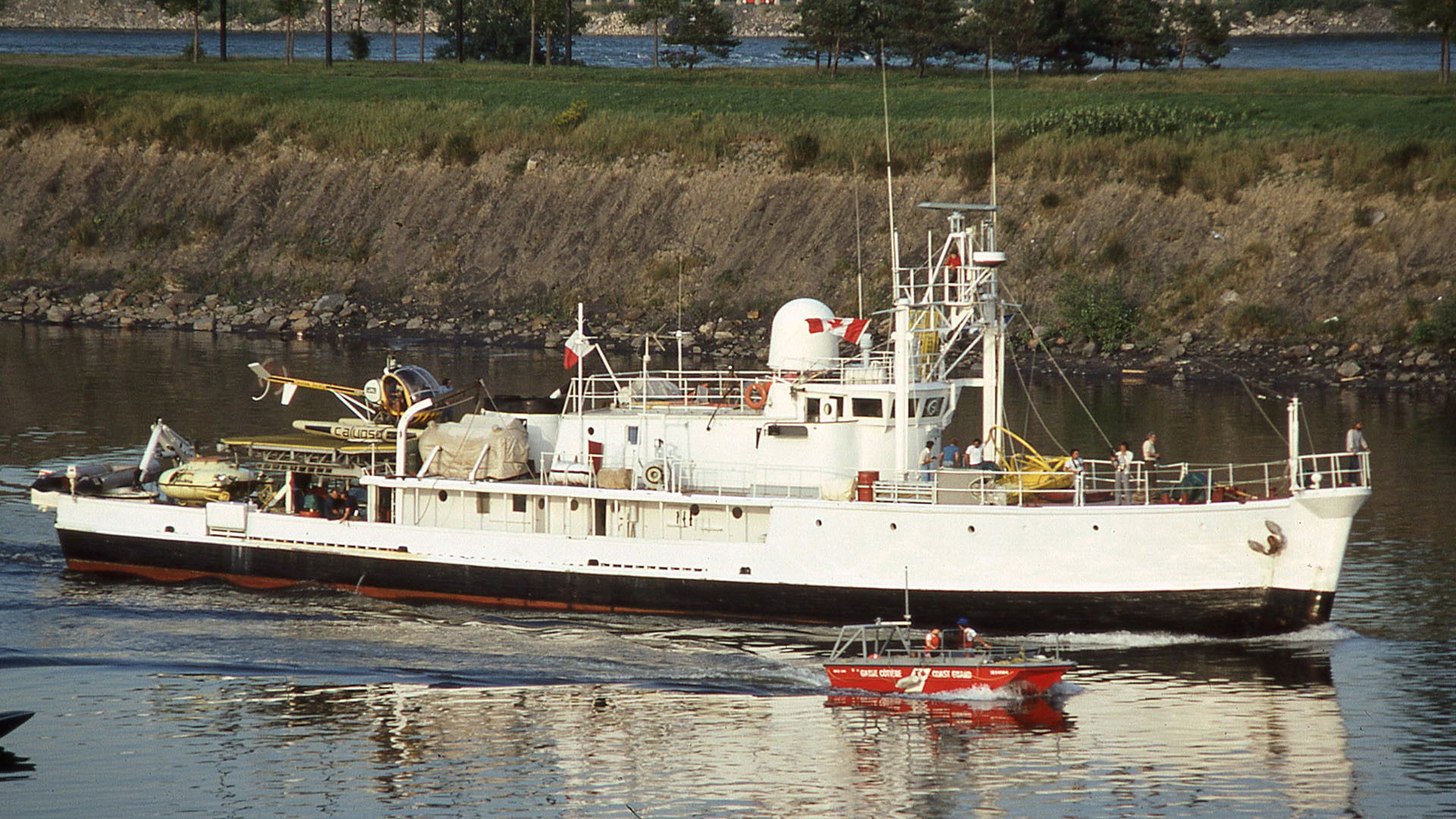 Backdrop for La Collection Cousteau N° 1 | Le Grand Requin Blanc | Les Requins Dormeurs Du Yucatan