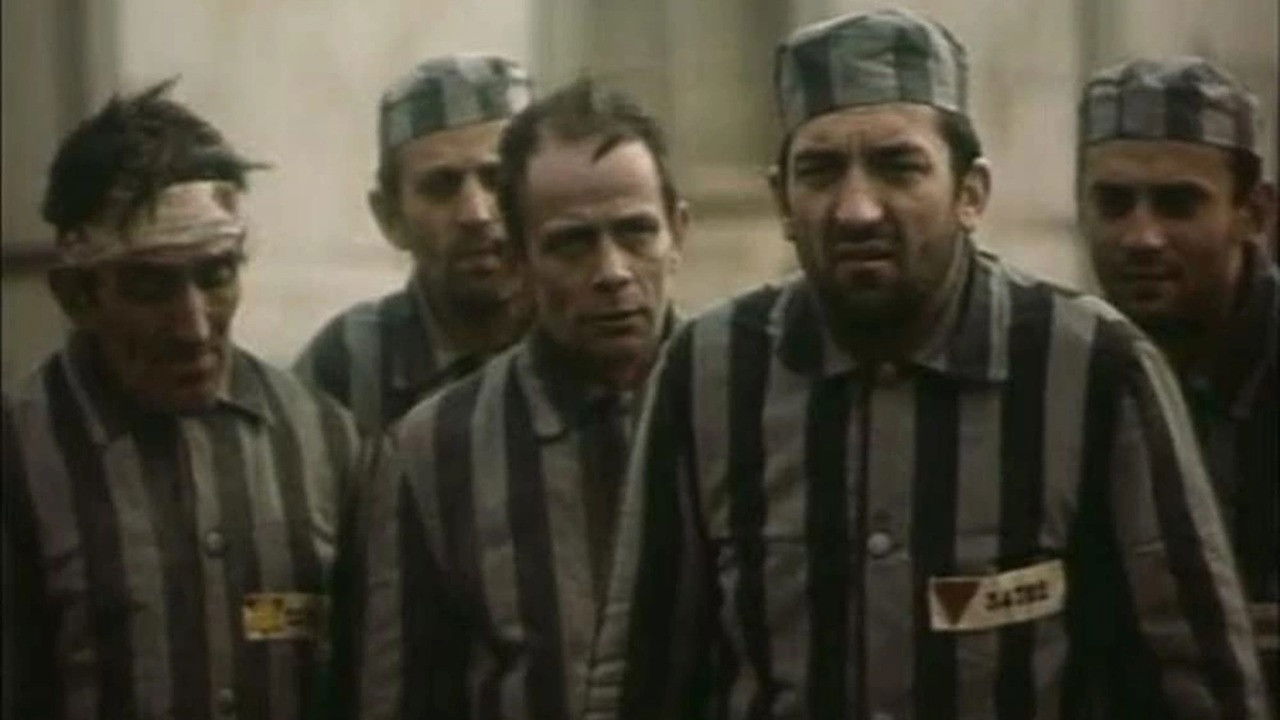 Backdrop for Manifesto for Freedom