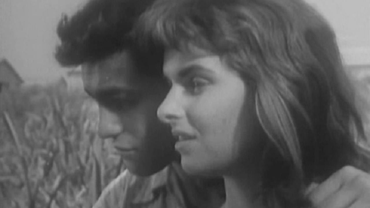 Backdrop for The Kidnapper