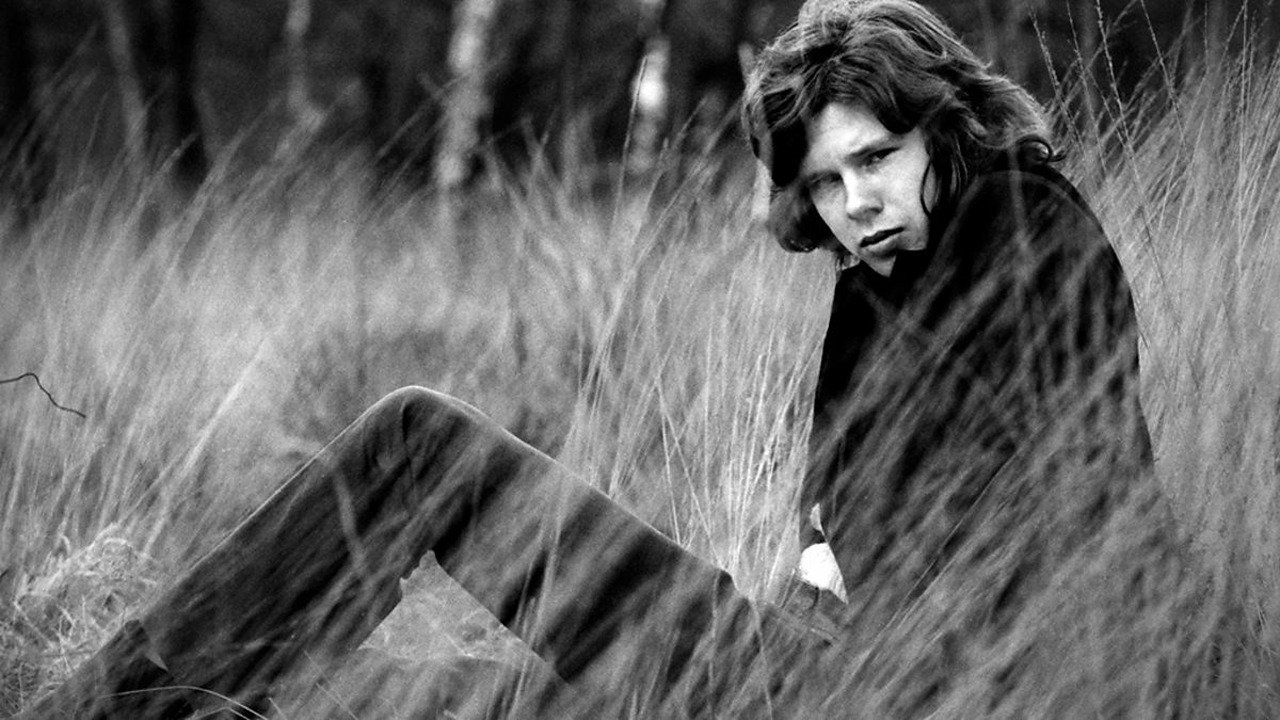 Backdrop for A Skin Too Few: The Days of Nick Drake