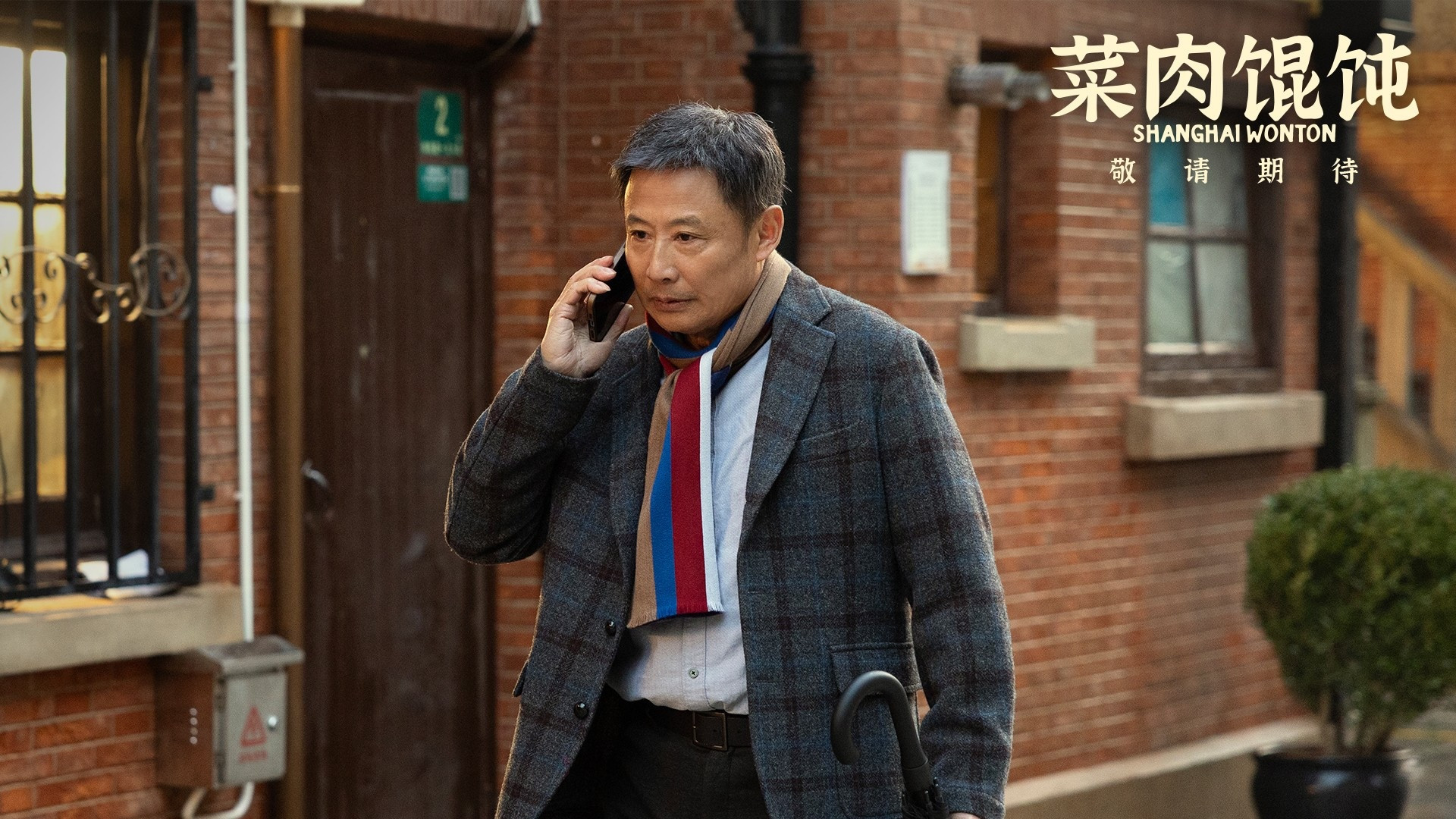 Backdrop for Shanghai Wonton