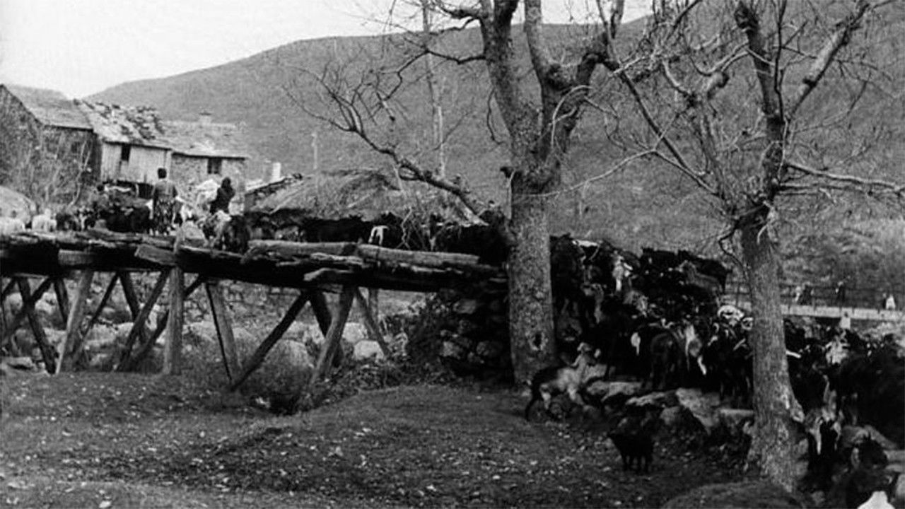 Backdrop for Letter of Sanabria