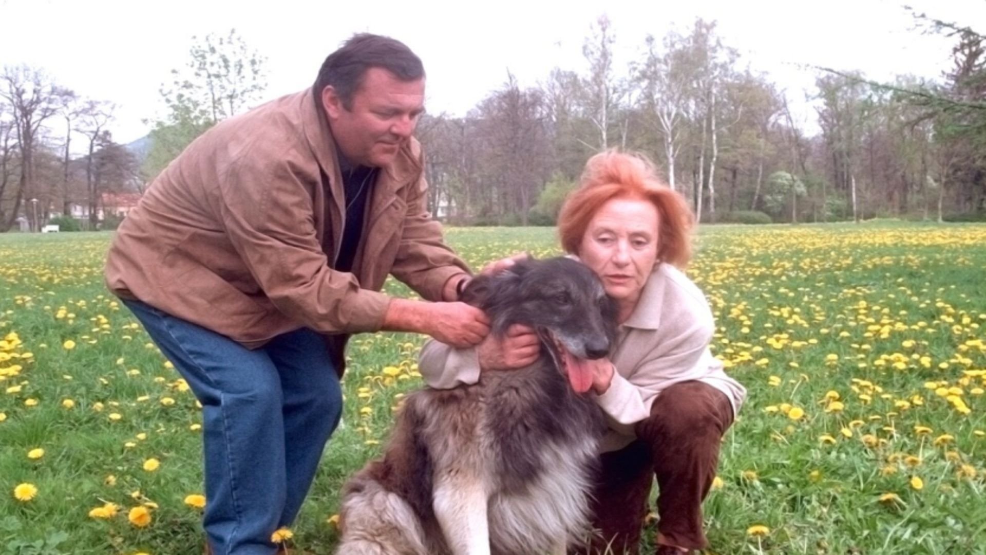 Backdrop for Hoffnung für Julia