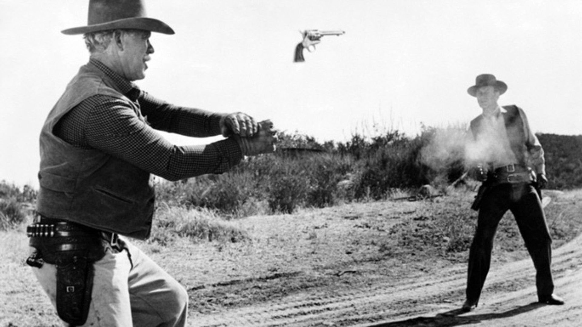 Backdrop for The Halliday Brand