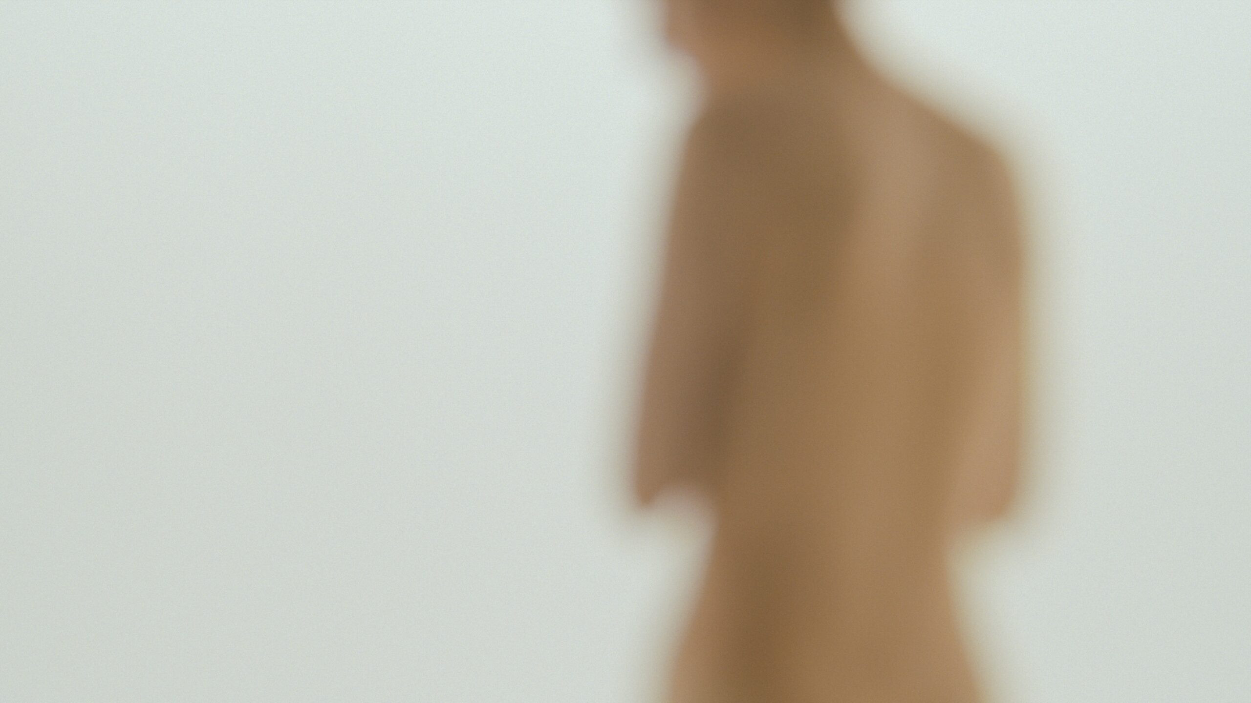 Backdrop for The Second Skin