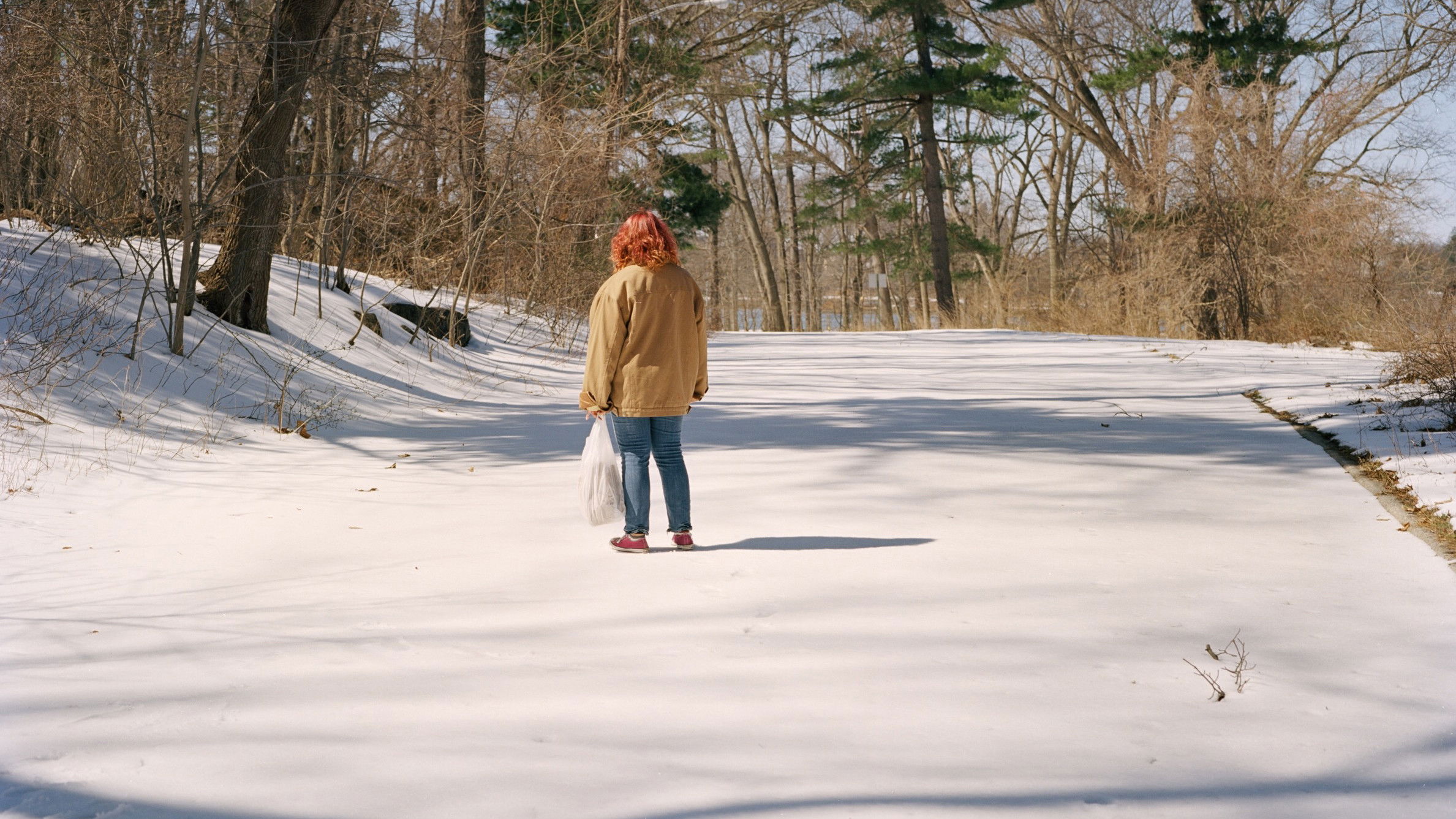 Backdrop for Nettles