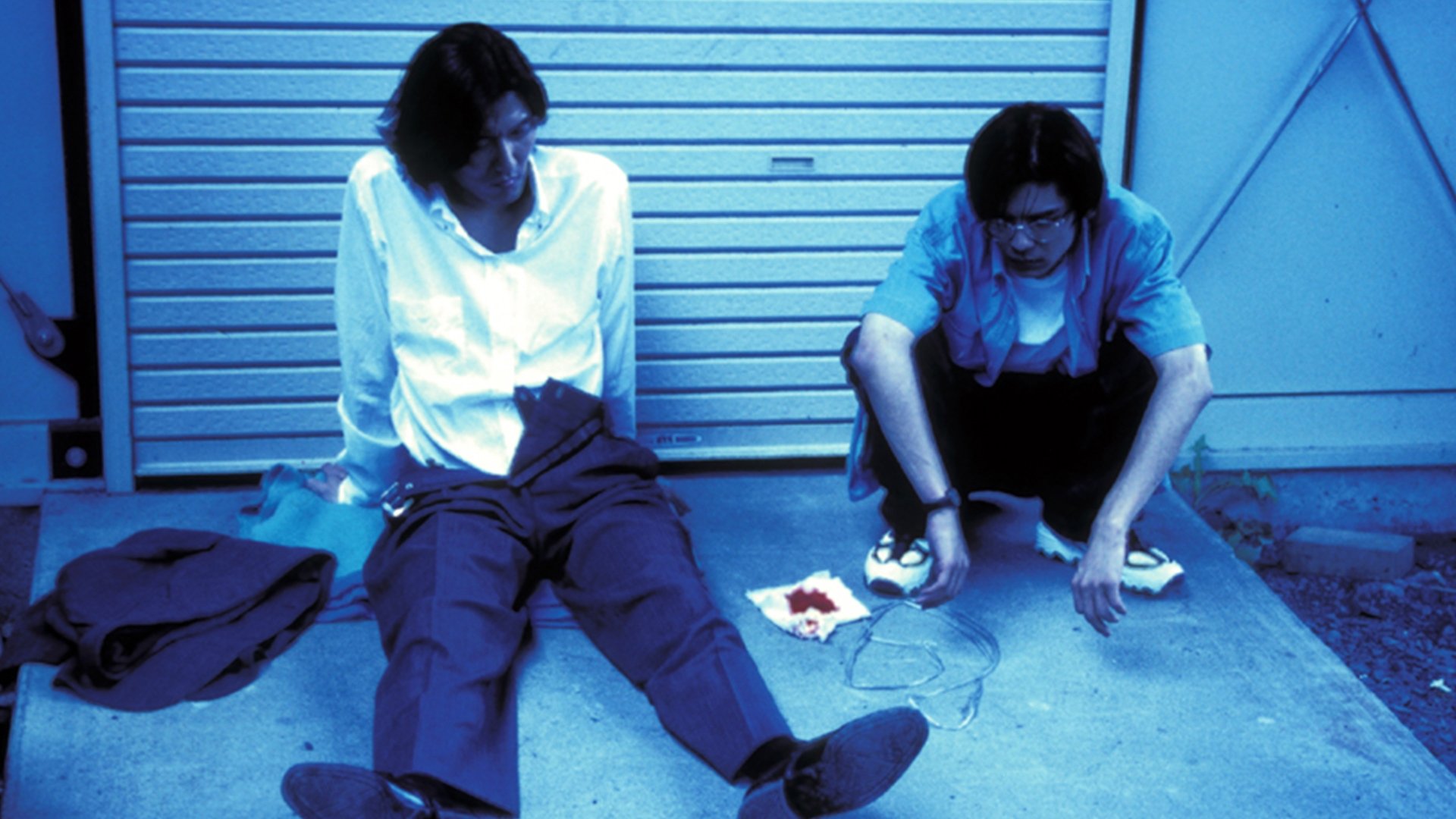 Backdrop for Wild Life