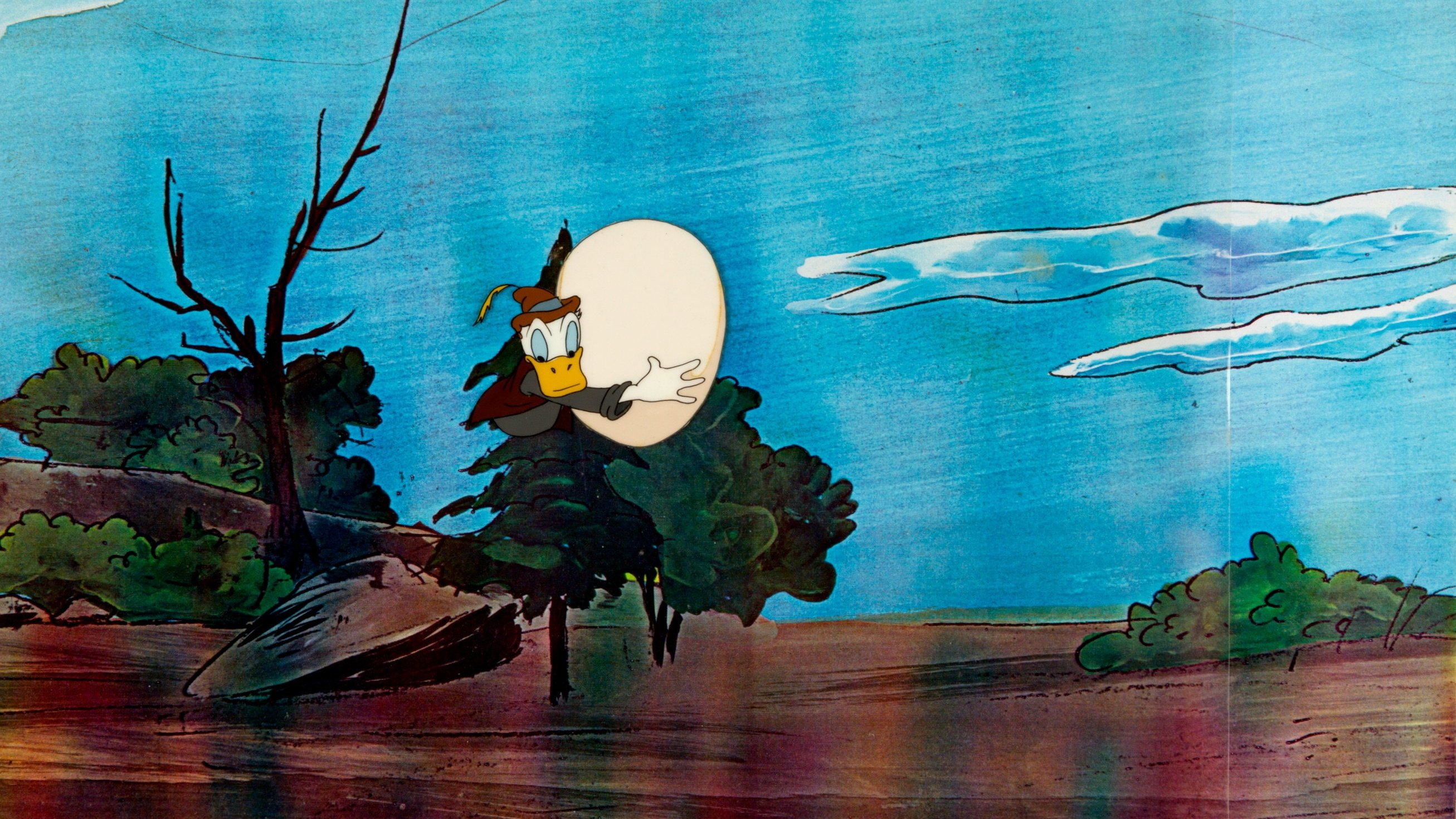 Backdrop for Contrary Condor