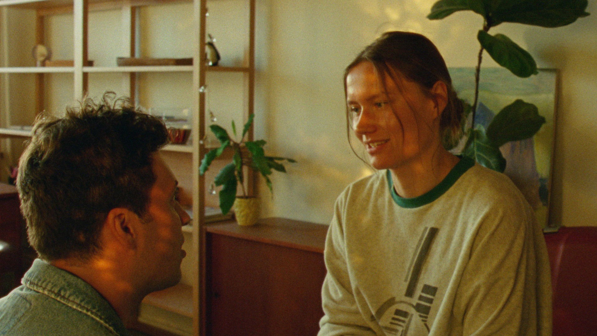 Backdrop for Renovation