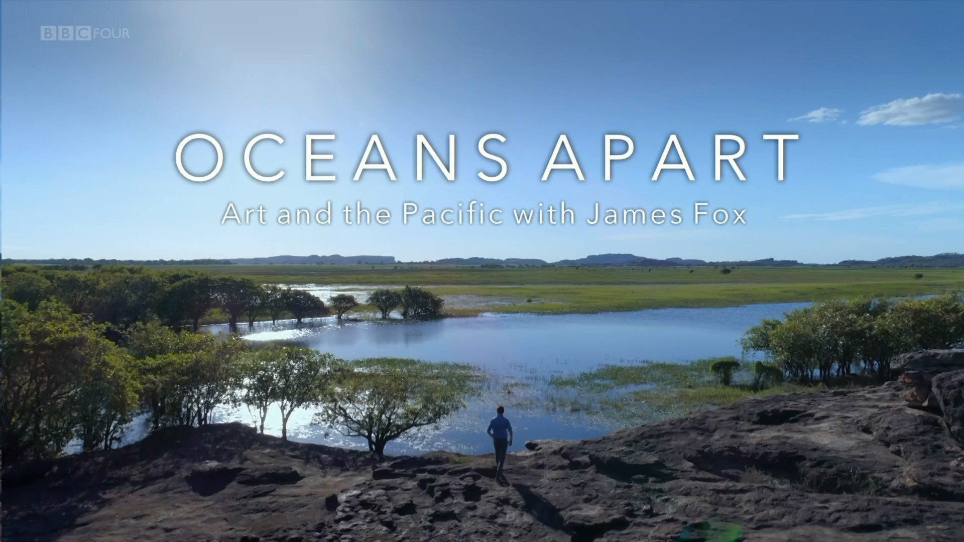 Backdrop for Oceans Apart: Art and the Pacific with James Fox