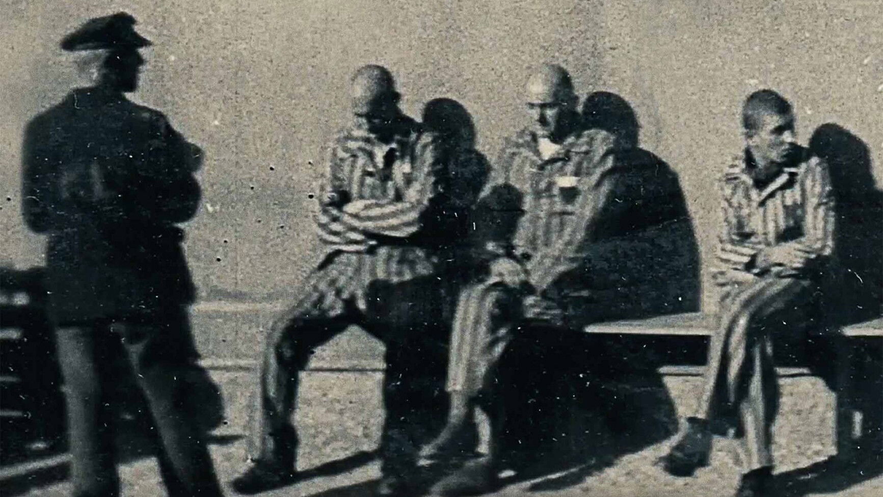 Backdrop for From Where They Stood