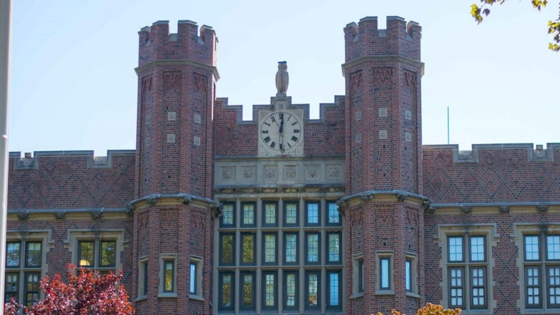 Backdrop for The Ideal