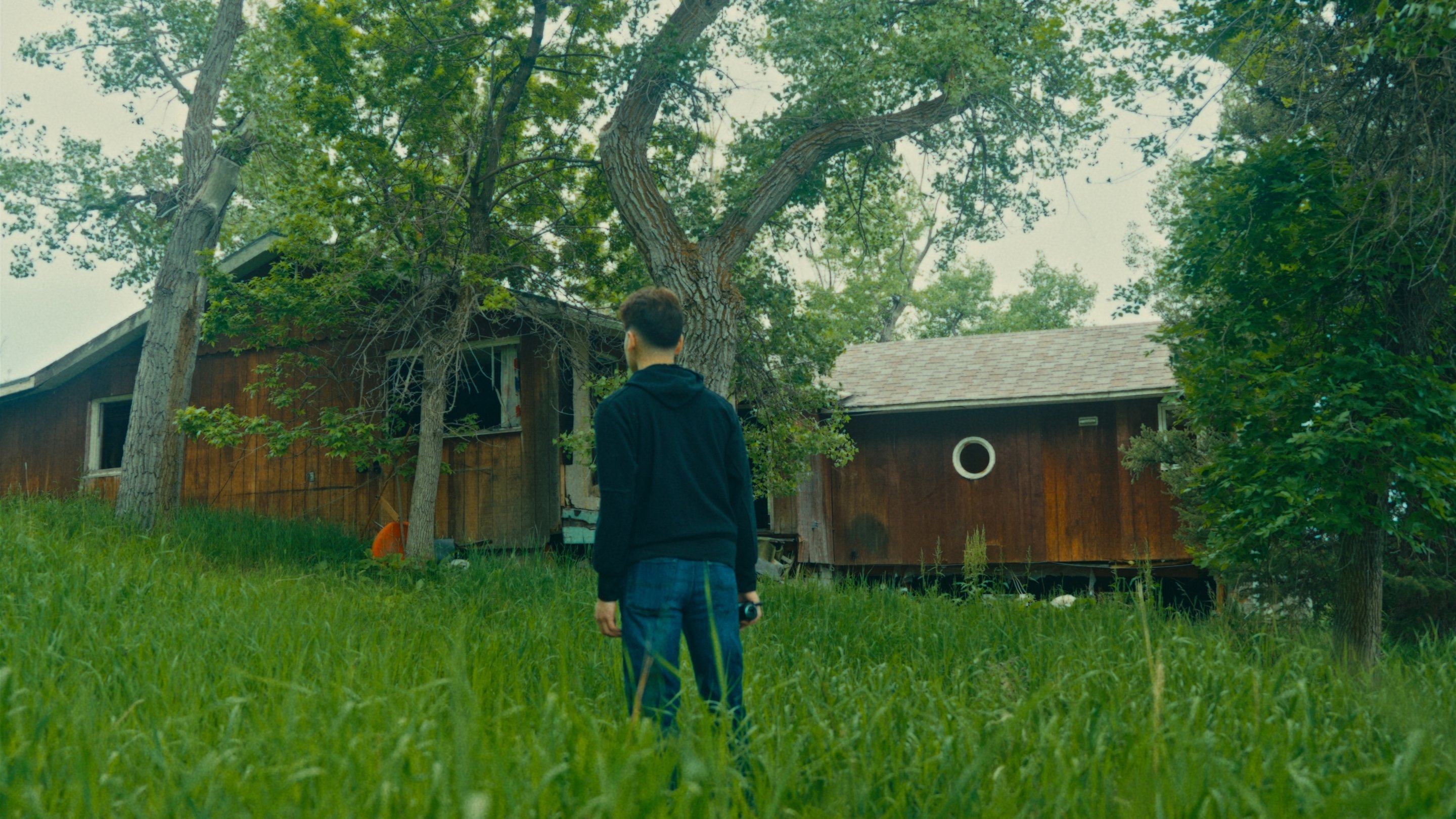 Backdrop for The Bystander