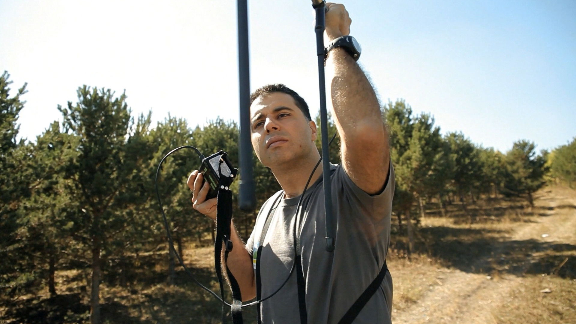 Backdrop for Tracking the Brown Bear: Sarıkamış