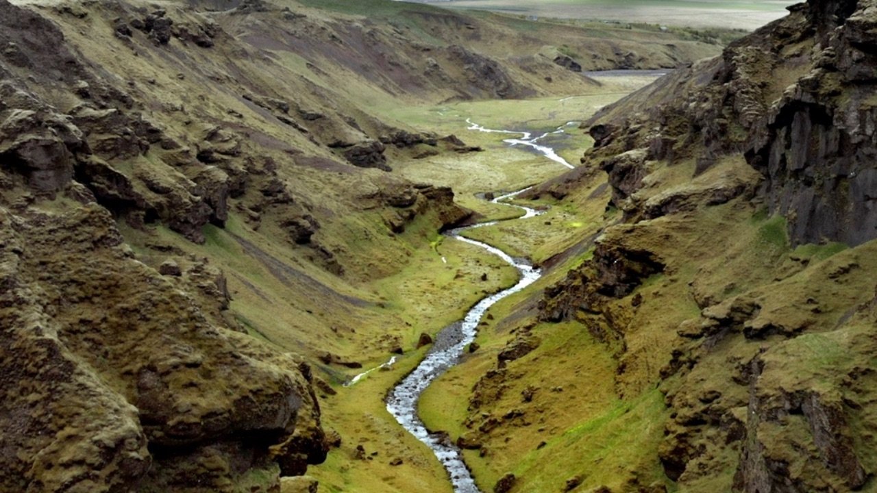 Backdrop for Terre, Les Forces du Vivant