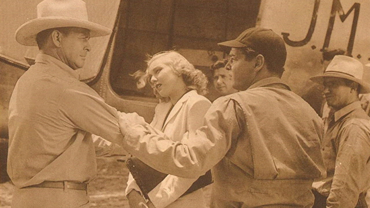 Backdrop for Jungle Flight