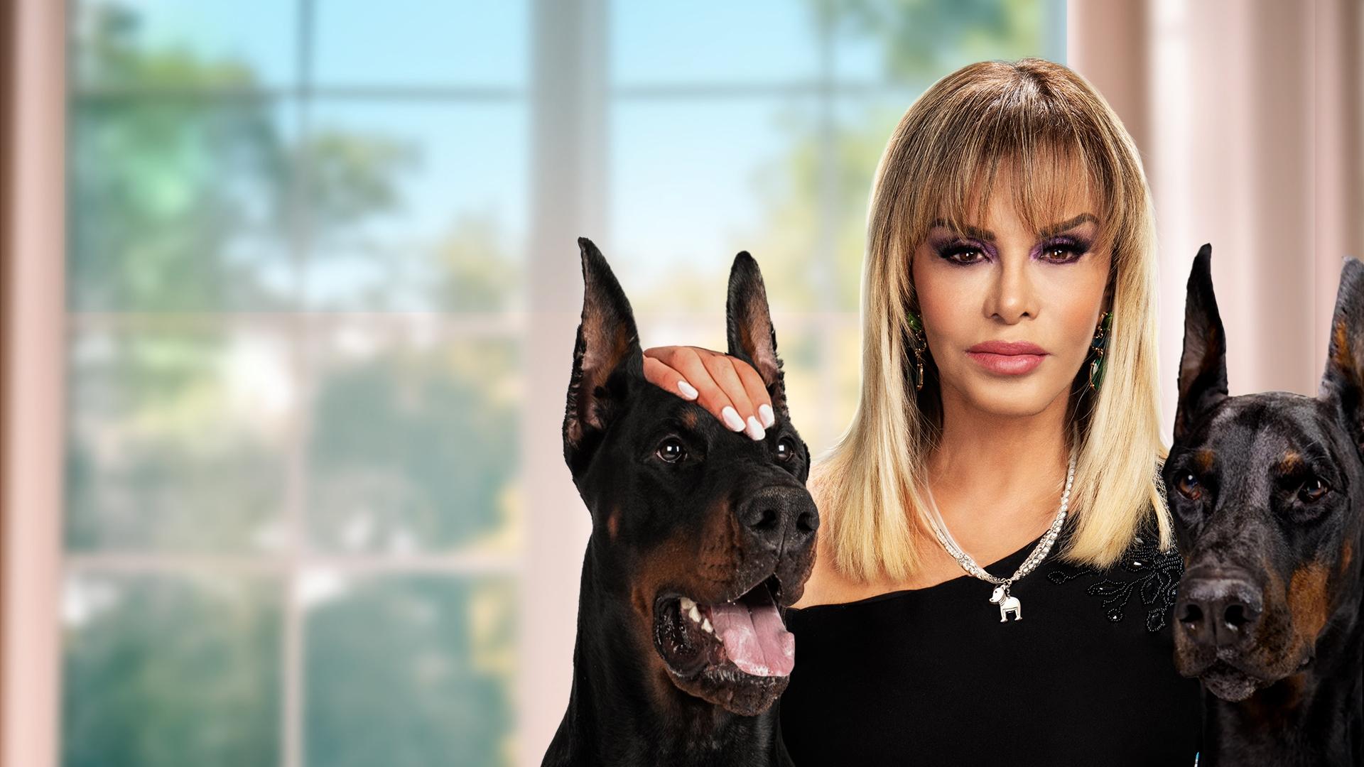 Backdrop for Killer Babes