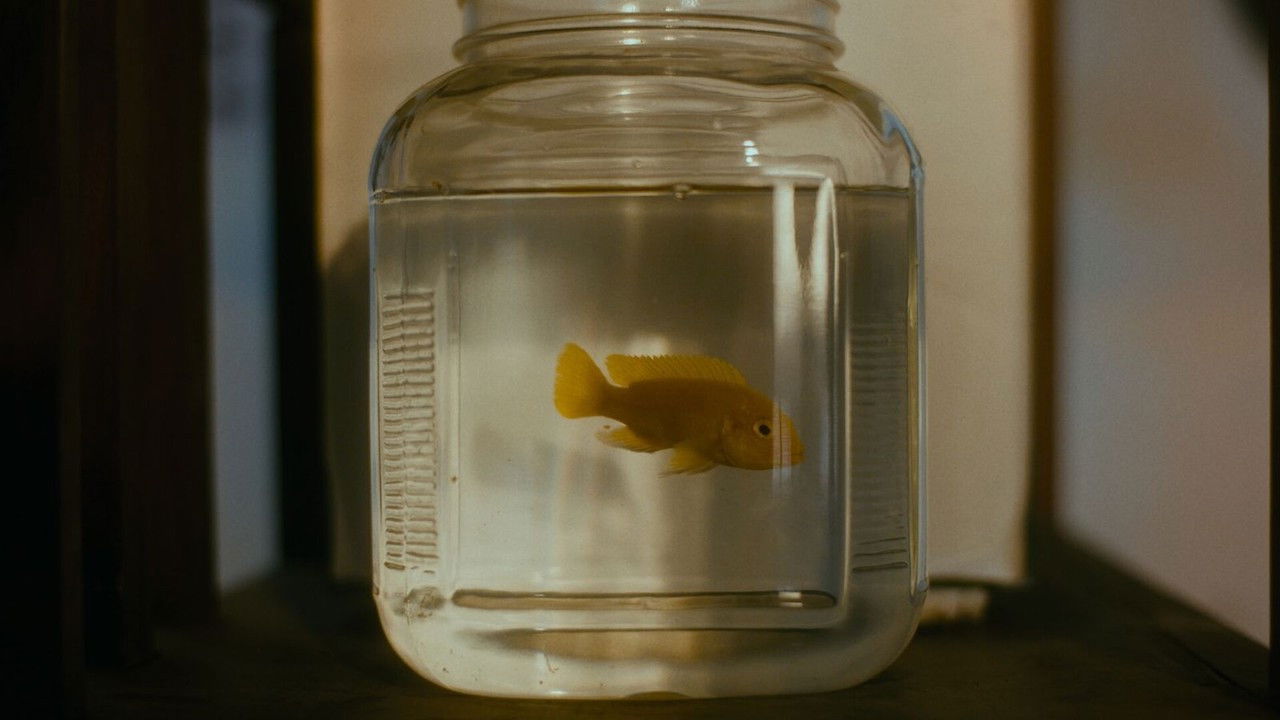 Backdrop for Sadrah Poem Of Blood