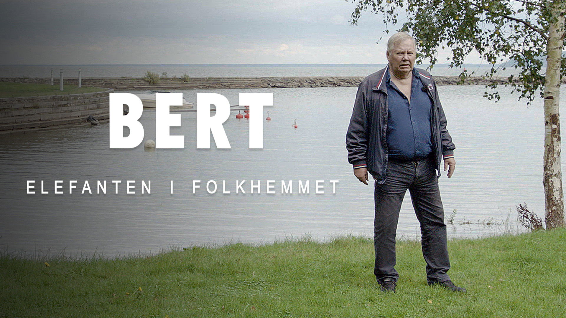 Backdrop for Bert Karlsson - Elefanten i folkhemmet
