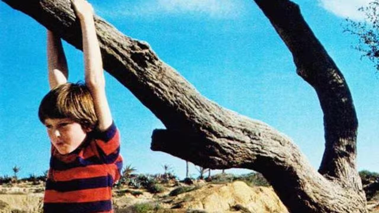 Backdrop for Misunderstood