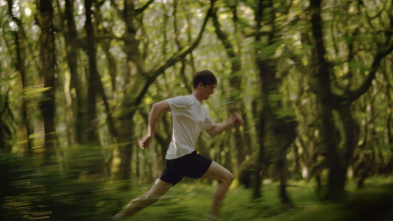 Backdrop for Scrutiny of Friendship