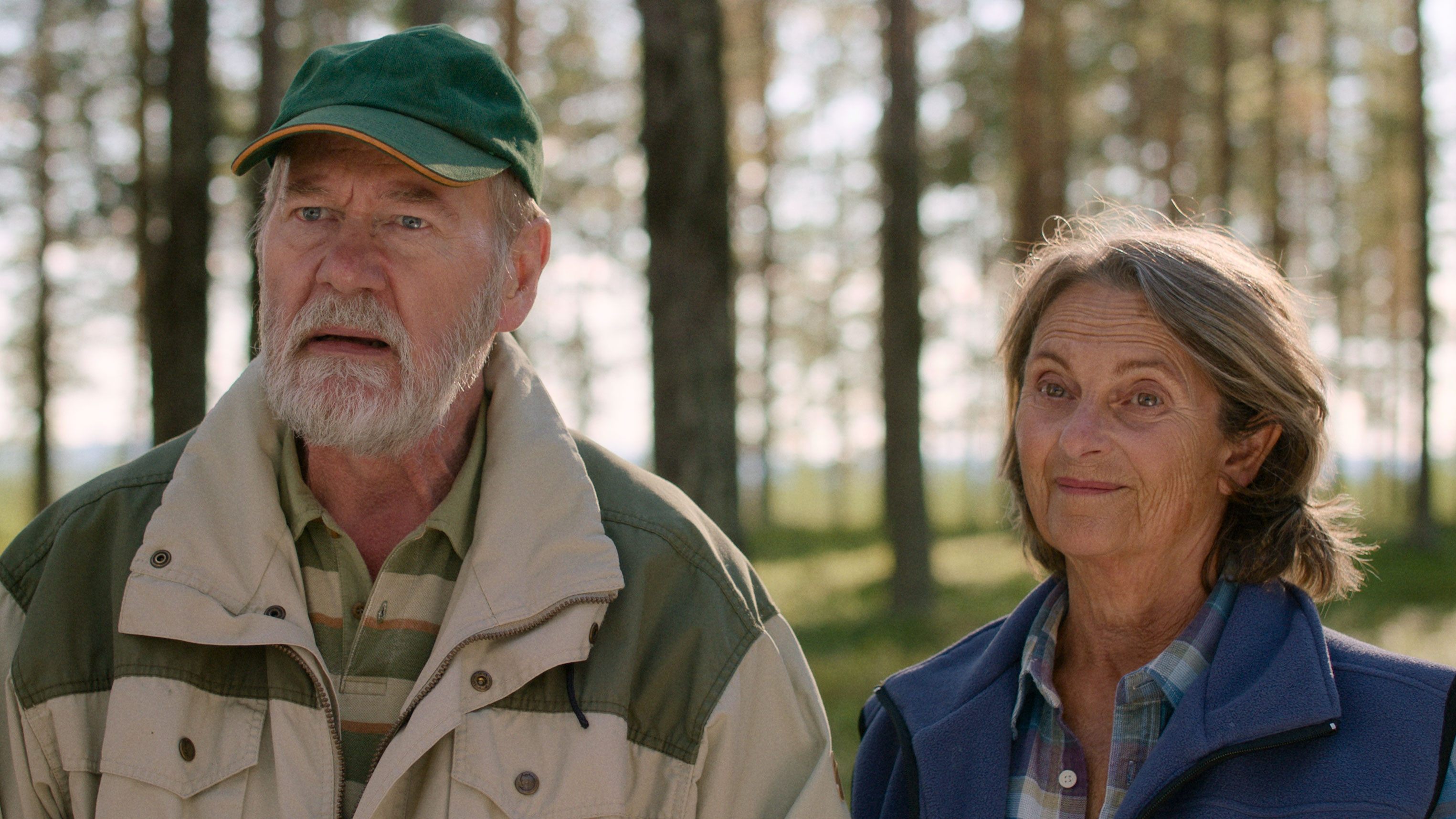 Backdrop for One Day All This Will Be Yours